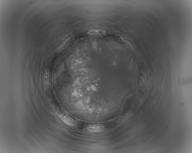 X0000079280659200612011659