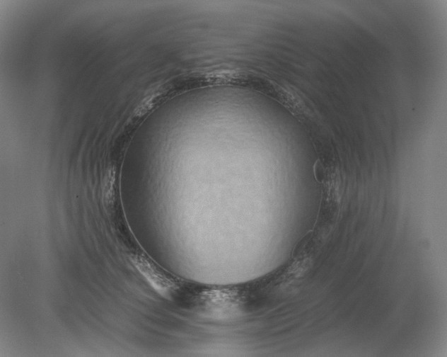 X0000079280660200612011659