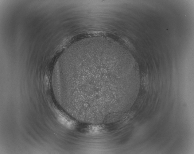 X0000079280662200612011659