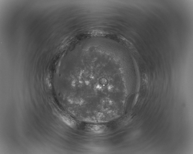 X0000079280663200612011659