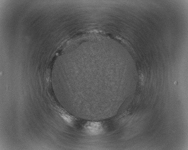 X0000079280665200612011659