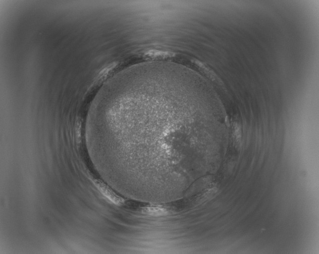 X0000079280668200612011659