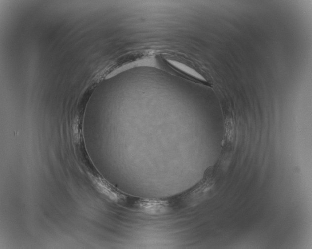 X0000079280670200612011659