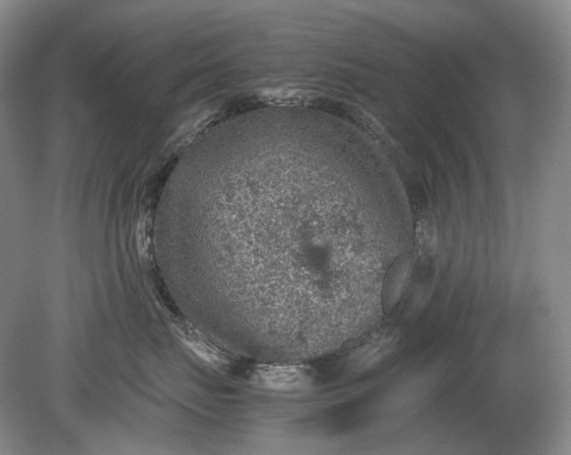 X0000079280671200612011659