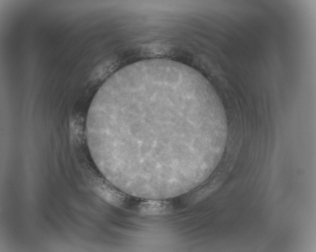 X0000079280672200612011659