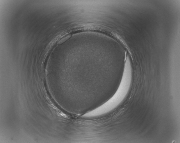 X0000079280673200612011659