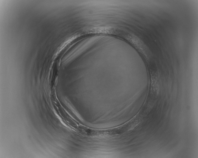 X0000079280674200612011659