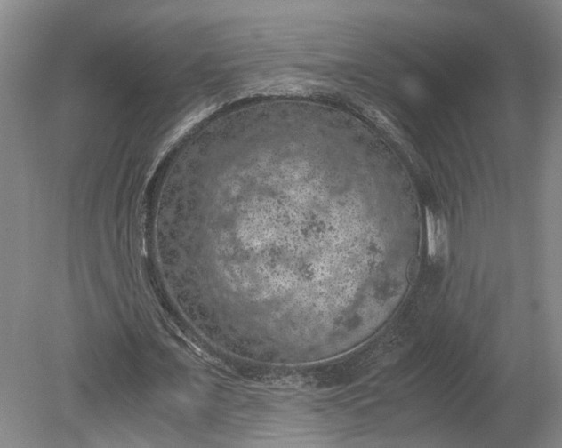 X0000079280675200612011659