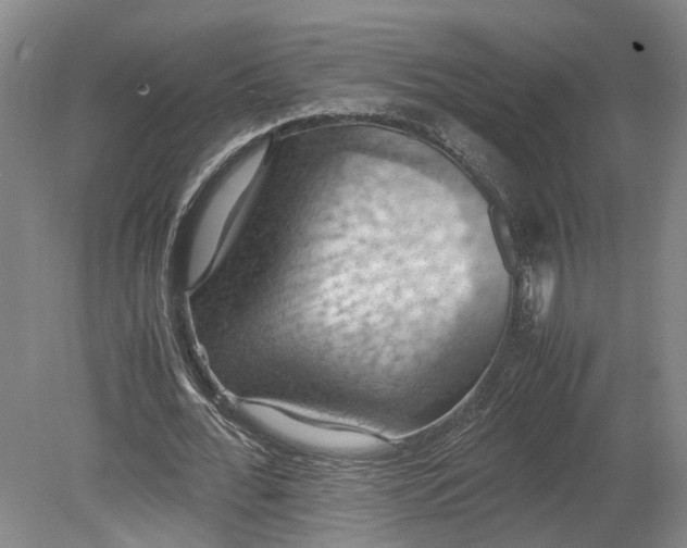 X0000079280676200612011659