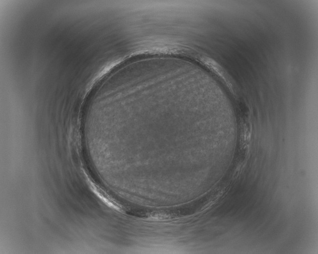 X0000079280677200612011659