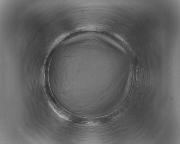 X0000079280678200612011659