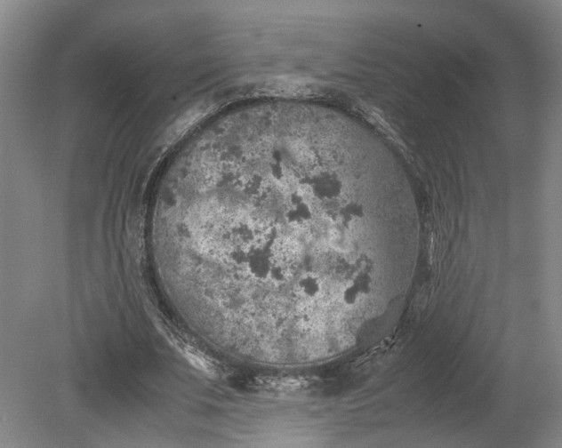 X0000079280679200612011659