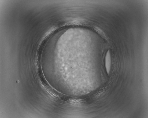 X0000079280680200612011659