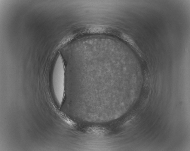 X0000079280681200612011659