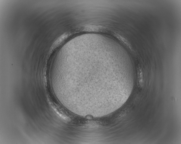 X0000079280682200612011659