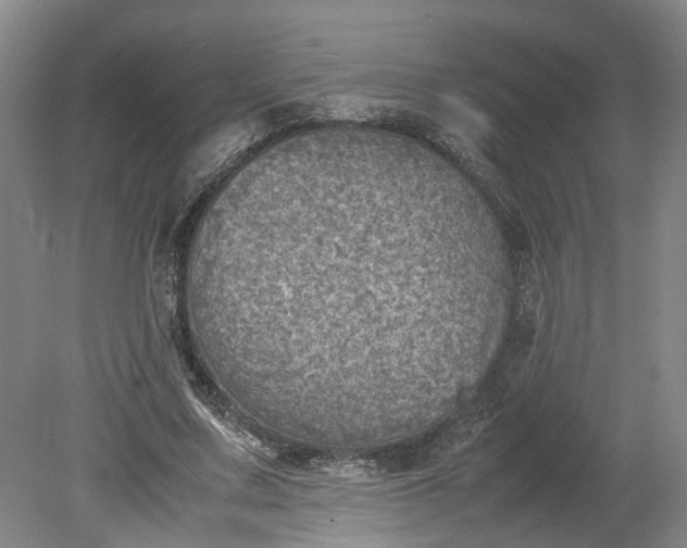 X0000079280683200612011659