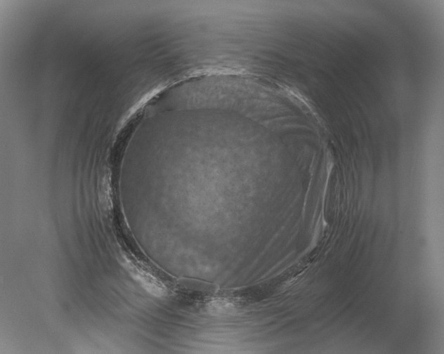 X0000079280684200612011658