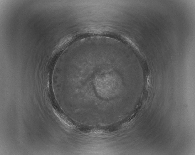 X0000079280685200612011658