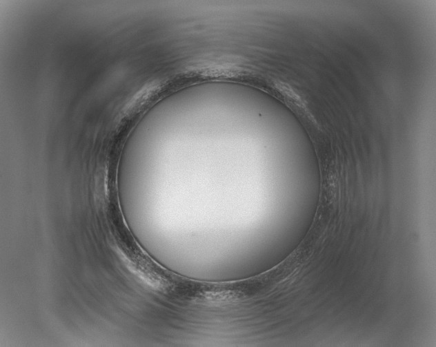 X0000079280686200612011658