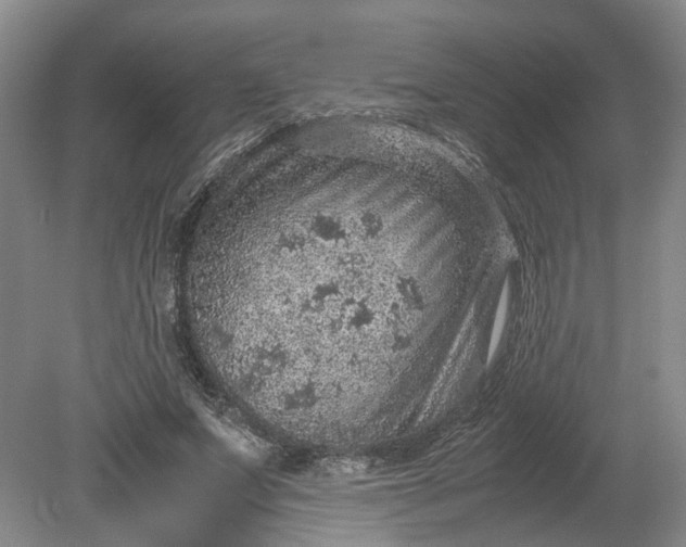 X0000079280687200612011658