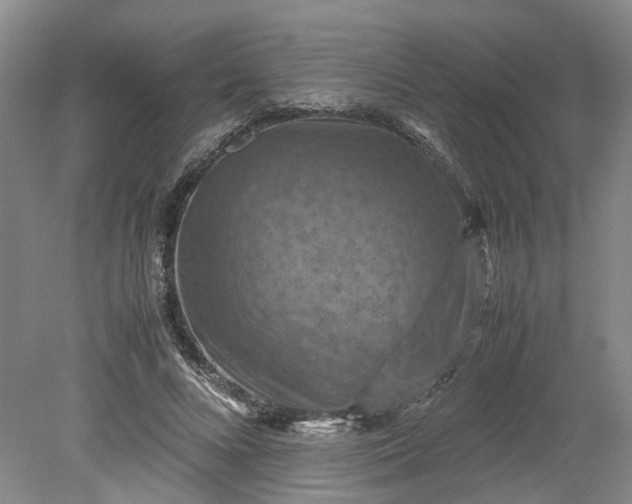 X0000079280688200612011658