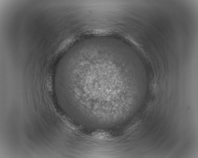 X0000079280689200612011658