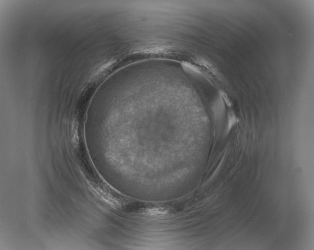 X0000079280692200612011658