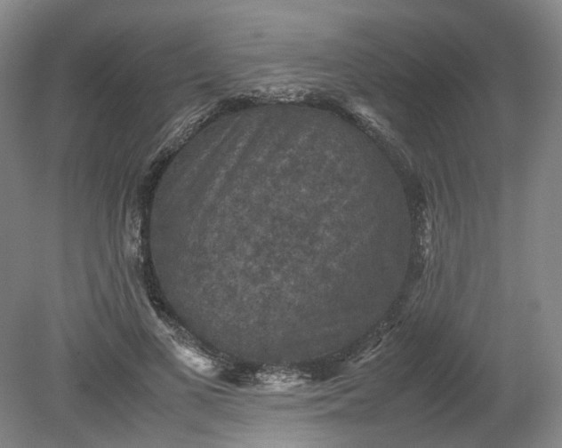 X0000079280693200612011658