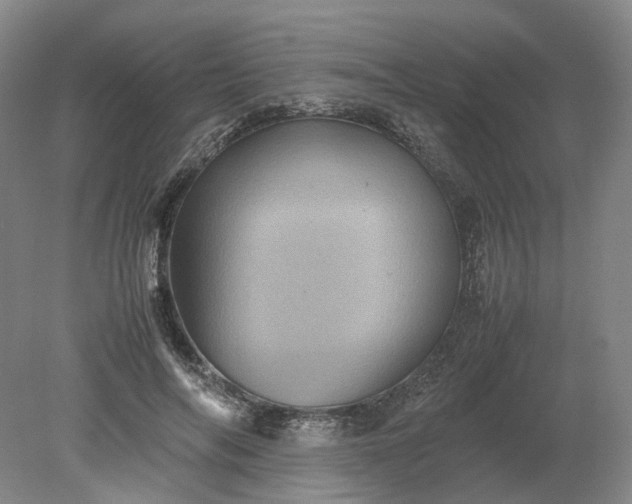 X0000079280694200612011658