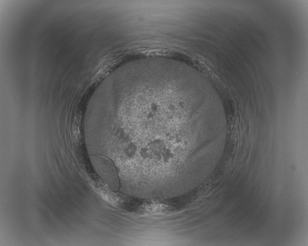 X0000079280695200612011658