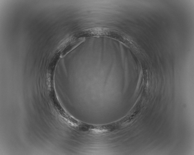 X0000079280696200612011658