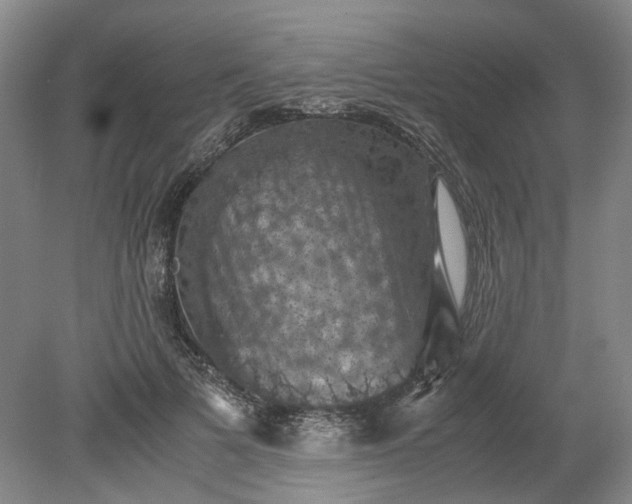 X0000079280697200612011658