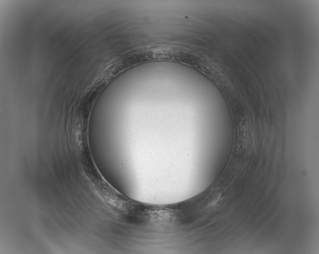 X0000079280698200612011658