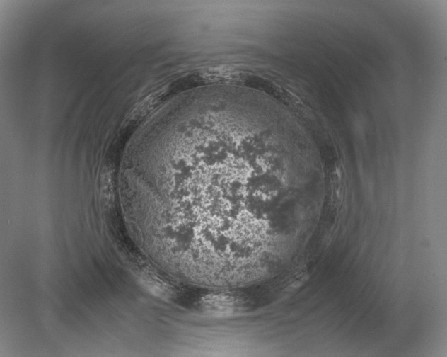 X0000079280699200612011658