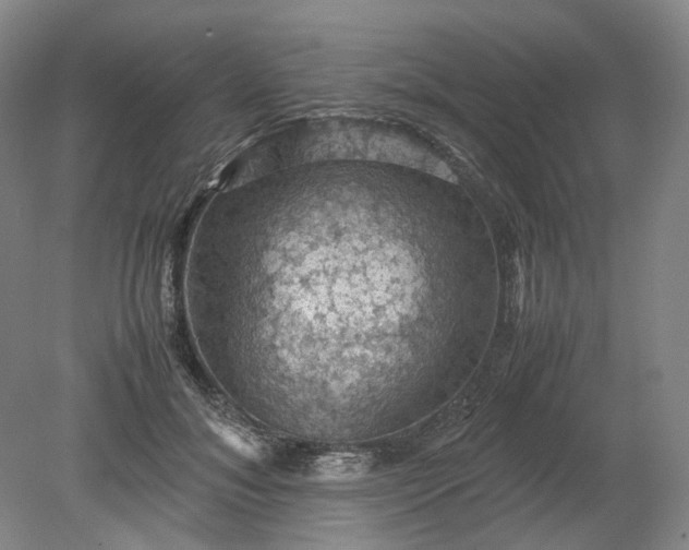 X0000079280700200612011658