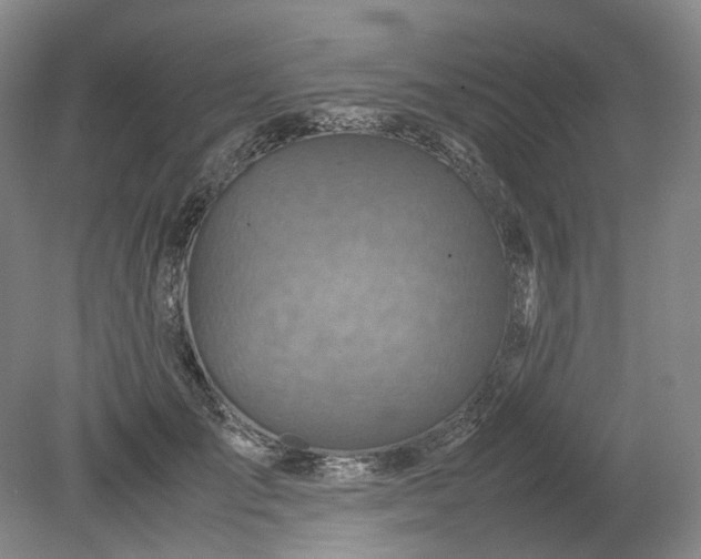 X0000079280701200612011658