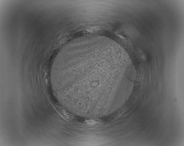 X0000079280703200612011658