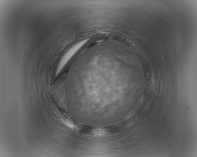 X0000079280704200612011658