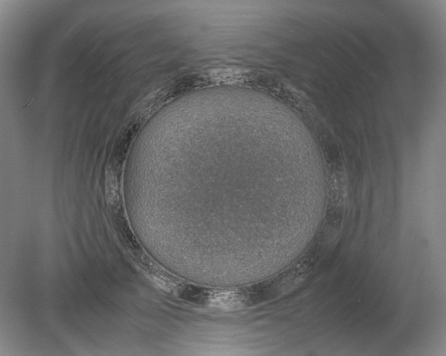 X0000079280705200612011658