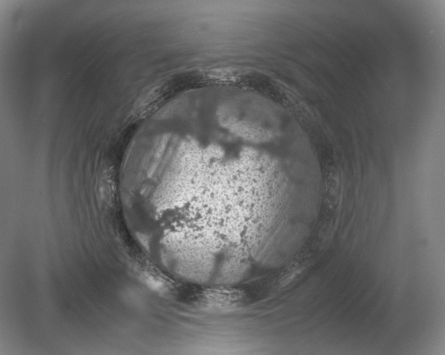 X0000079280707200612011658