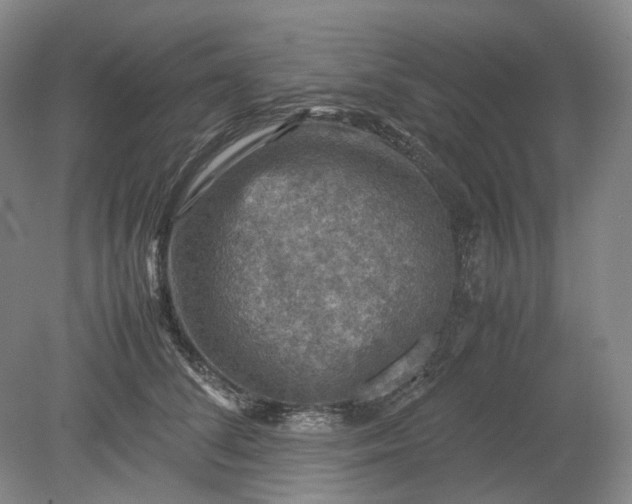 X0000079280708200612011658