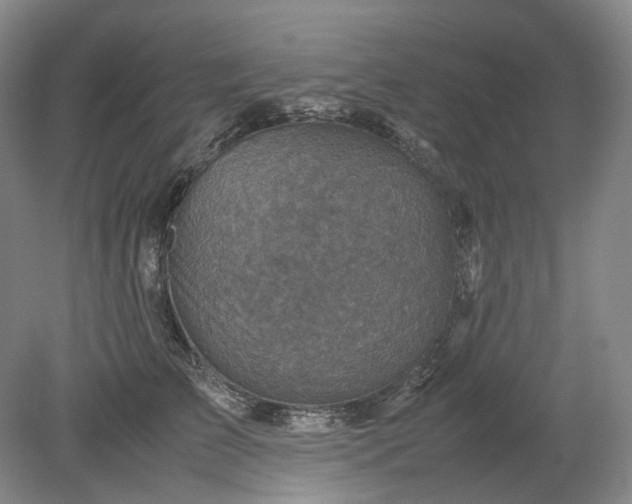 X0000079280709200612011658