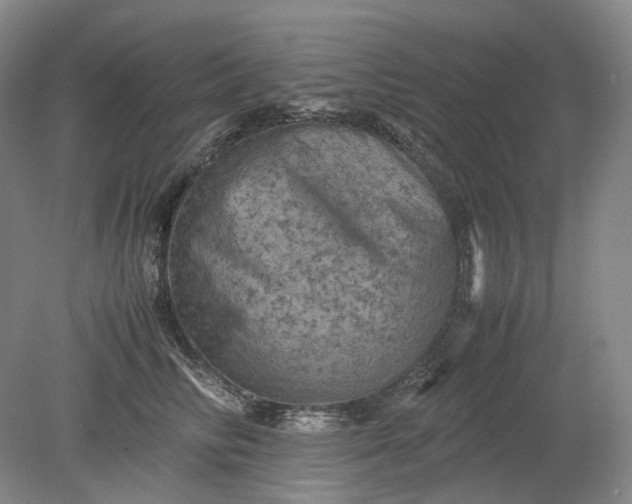 X0000079280710200612011658