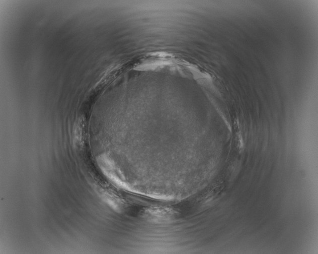 X0000079280712200612011658