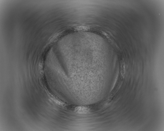 X0000079280714200612011658