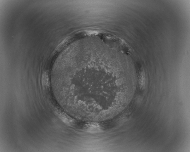 X0000079280715200612011658