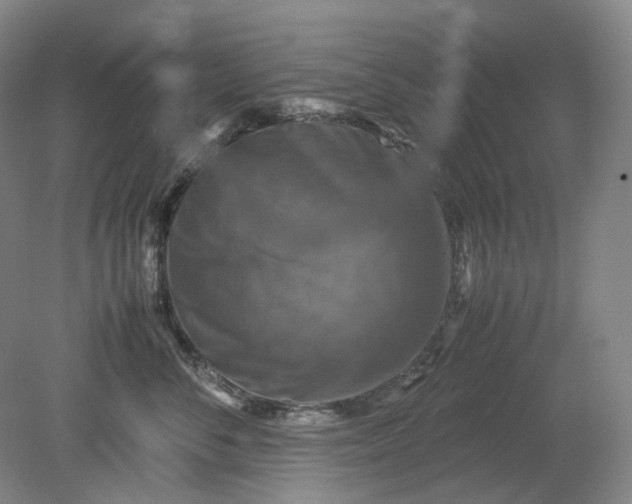 X0000079280716200612011658