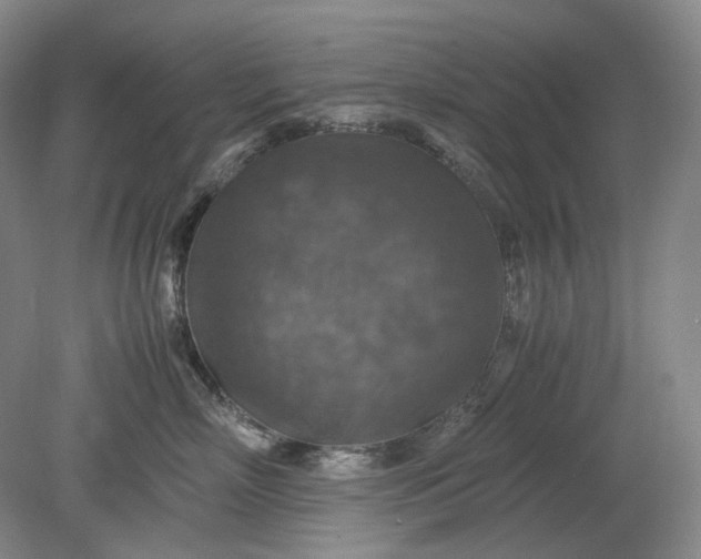 X0000079280718200612011658