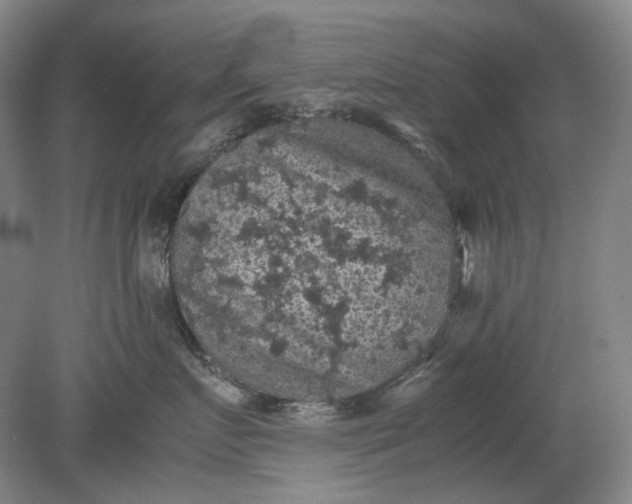 X0000079280719200612011658