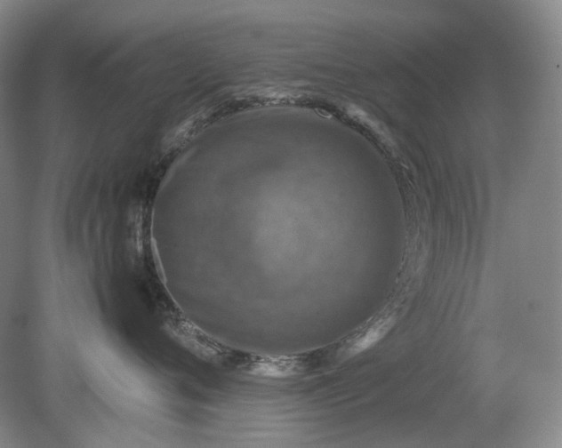 X0000079280720200612011658